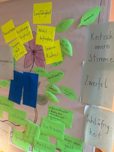 26caaca8 d9c8 4873 b93d b8c163eb2205