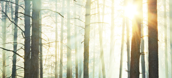 Bildschirmfoto 2025 06 30 um 10 16 41